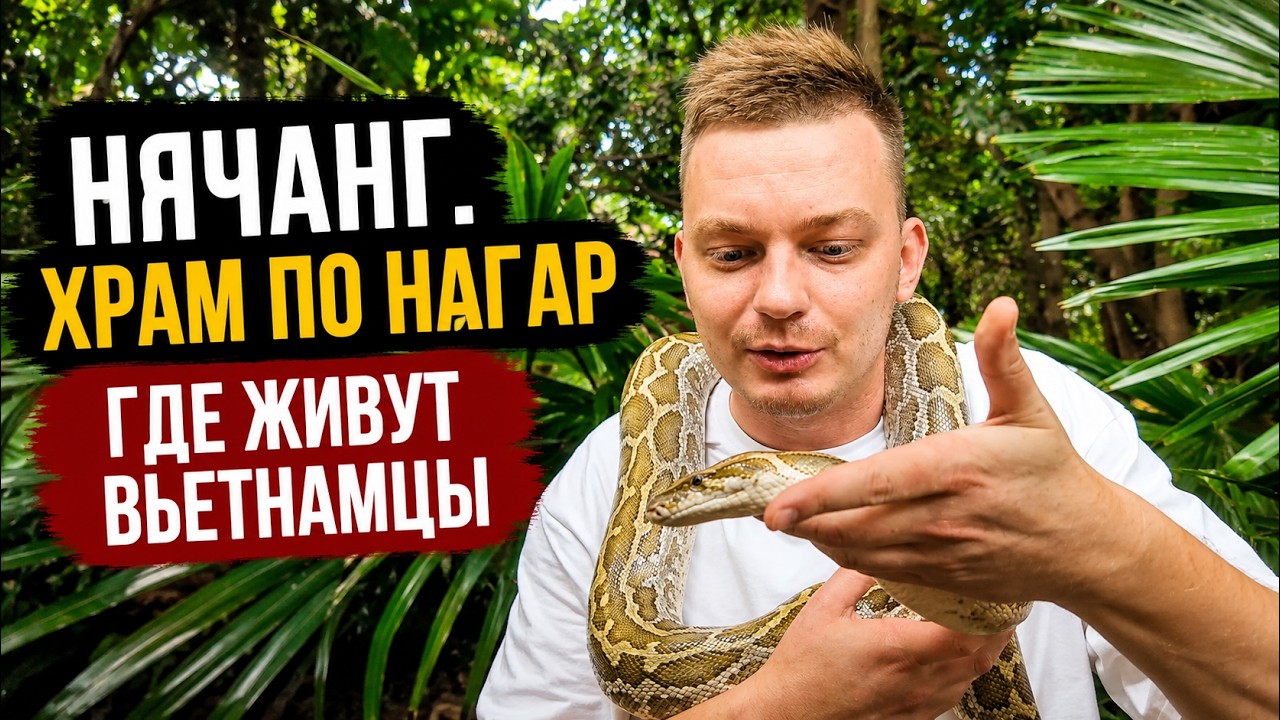Что посмотреть в Нячанге? Лонг Шон, По Нагар, змеи и нетуристический Вьетнам