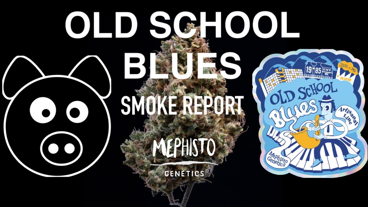 Old School Blues Smoke Report