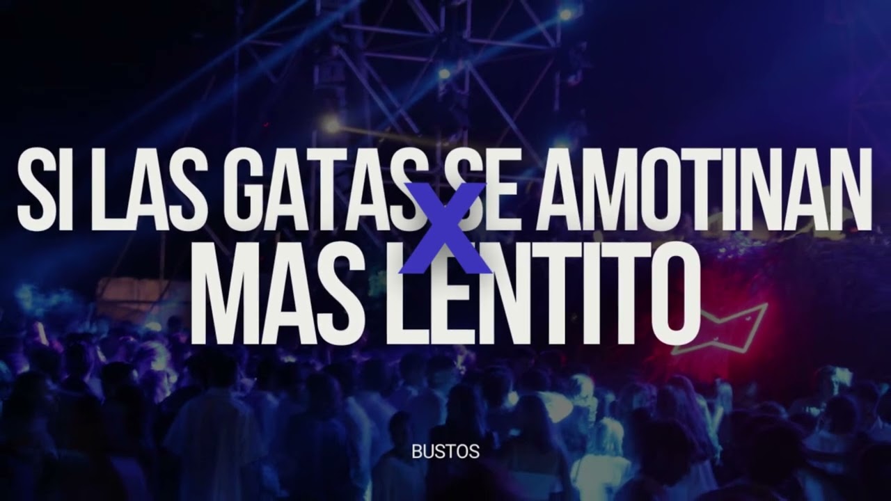 SI LAS GATAS SE AMOTINAN X MAS LENTITO [MASHUP]