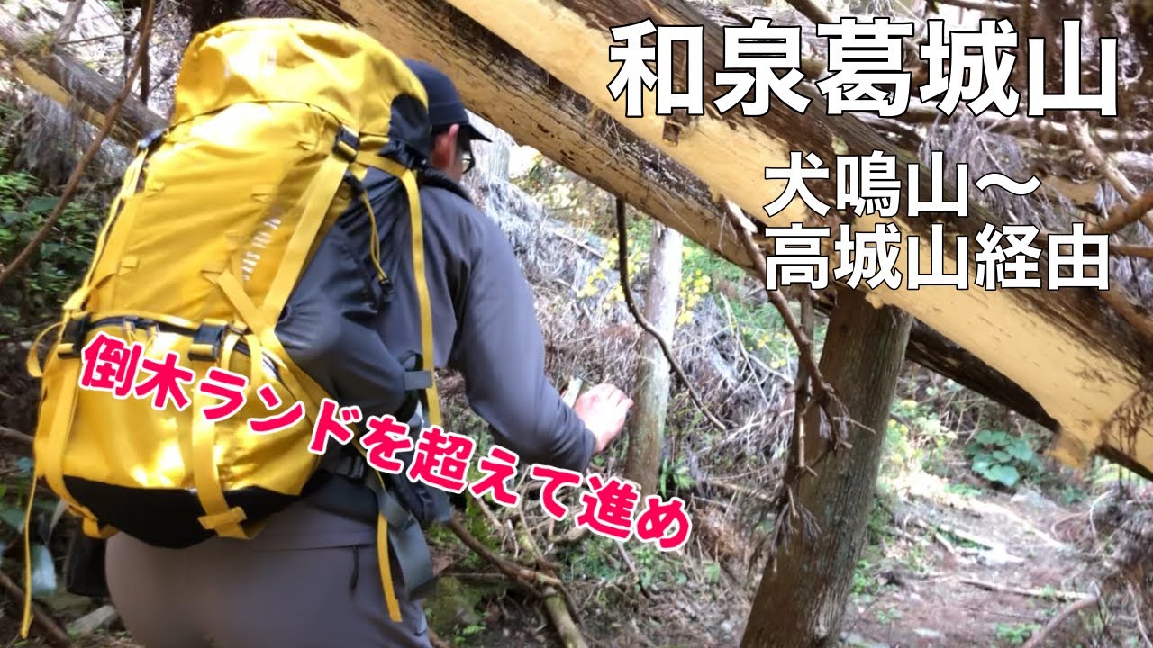 【アラフォー夫婦登山】大阪府・和歌山県 犬鳴山から高城山・和泉葛城山へ【倒木だらけのアスレチックコース】