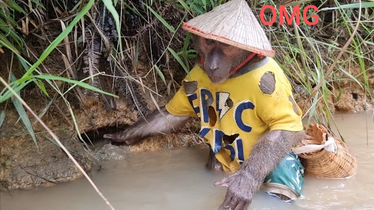 Farmers Abu enlisted of catching crabs ... so sad