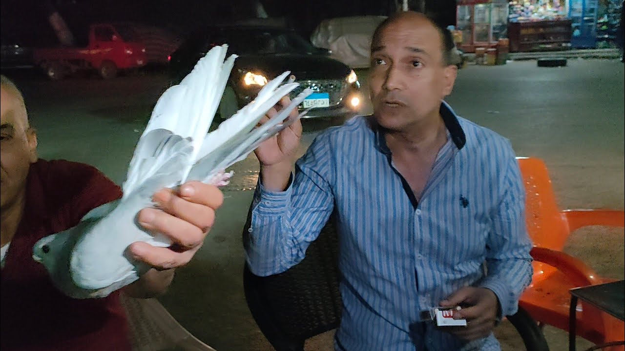 فرجة حمام إبراهيم الصباحي(حصان) الضاهر