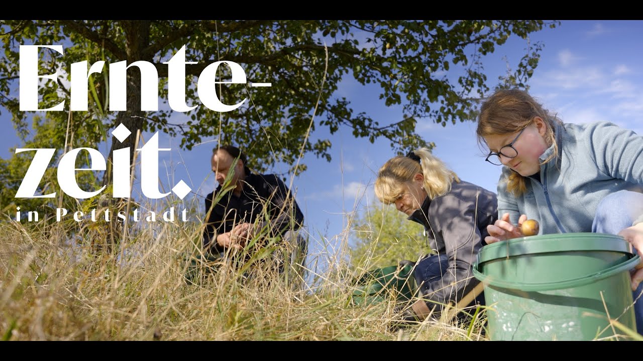 🍁🍂 Erntezeit &ndash; wenn die Natur den Takt vorgibt.