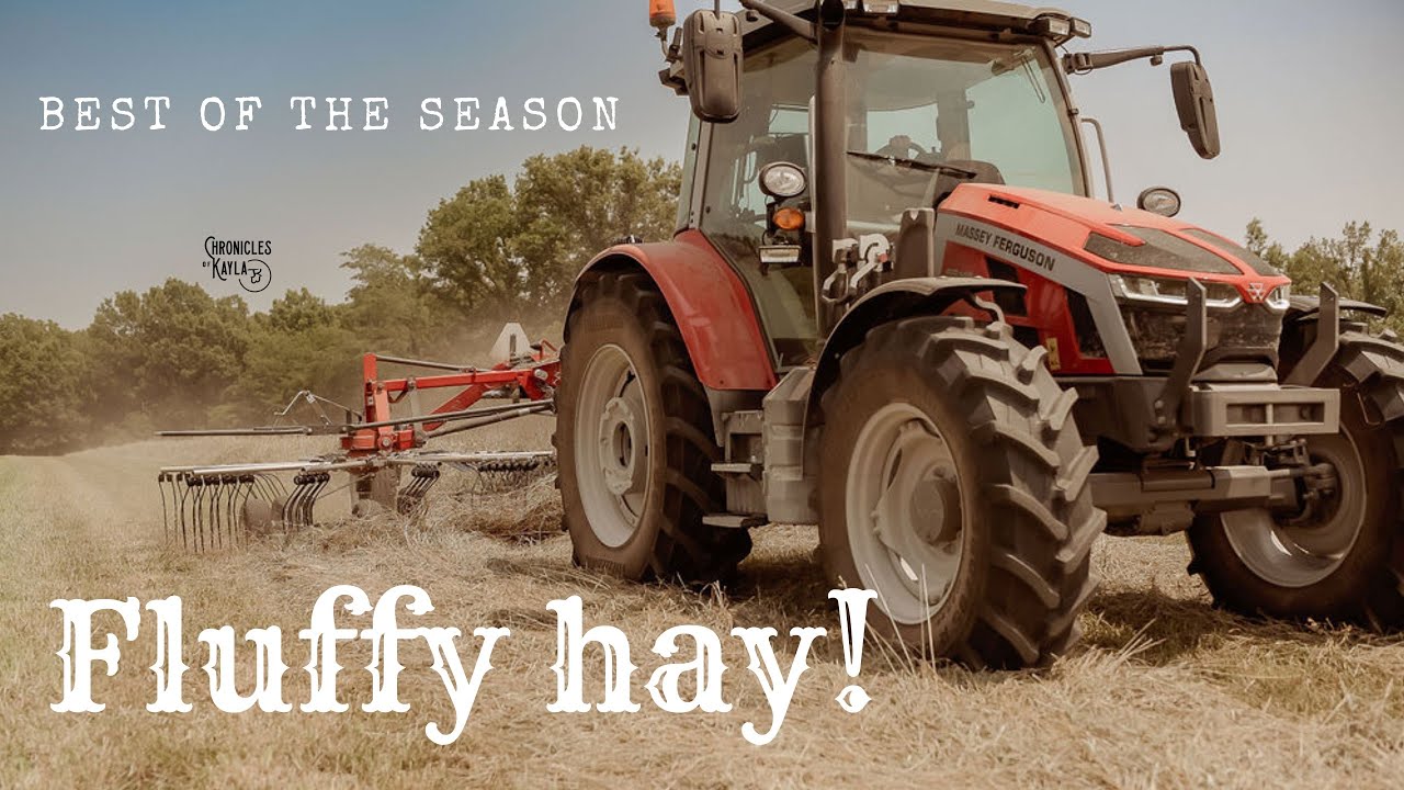 MF RK 662 making the fluffiest & best windrows we might have all #hay season { a farm Vlog }