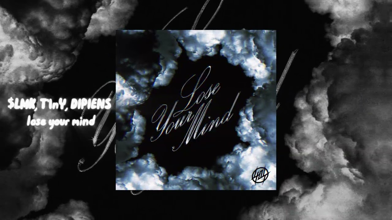 DIPIENS, $LMK, T1n'Y - lose your mind