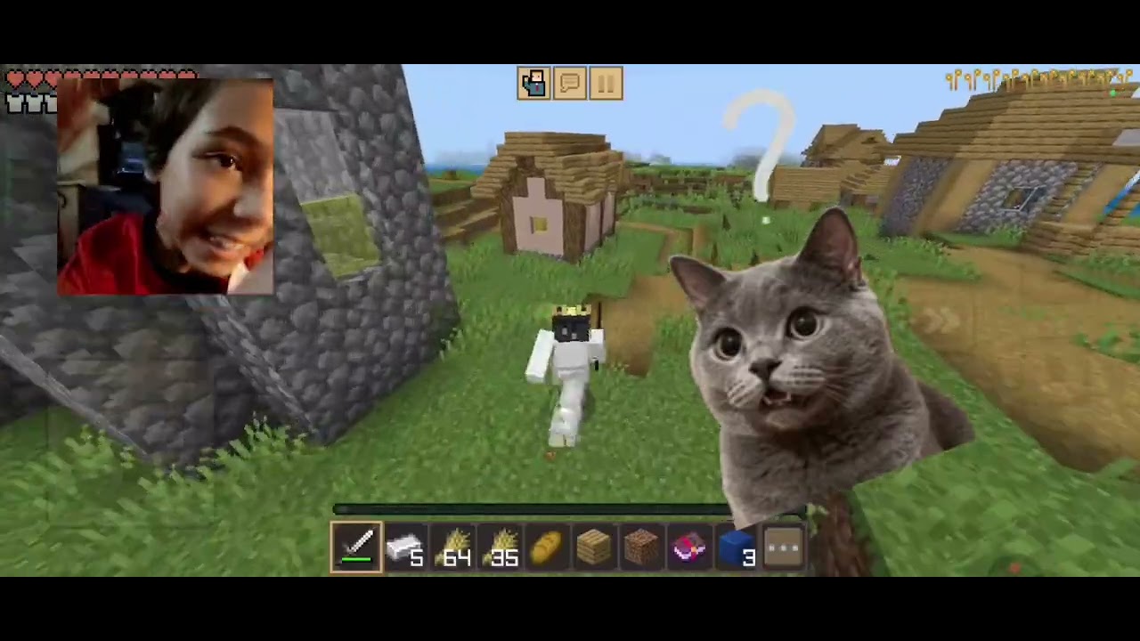 Minecraft mas toda vez que eu bater em um mob eu ganho um efeito aleatório 