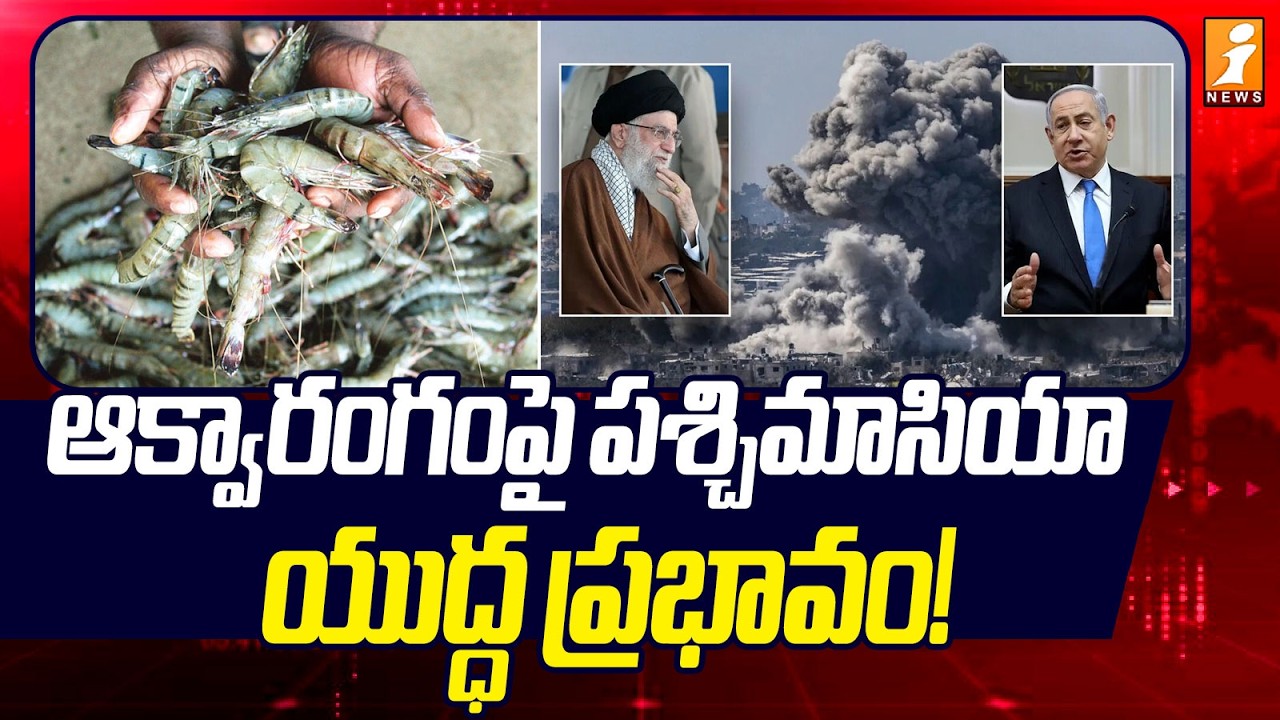 ఆక్వారంగంపై పశ్చిమాసియా యుద్ధ ప్రభావం! | West Asia War impact on the Aquarium | iNews