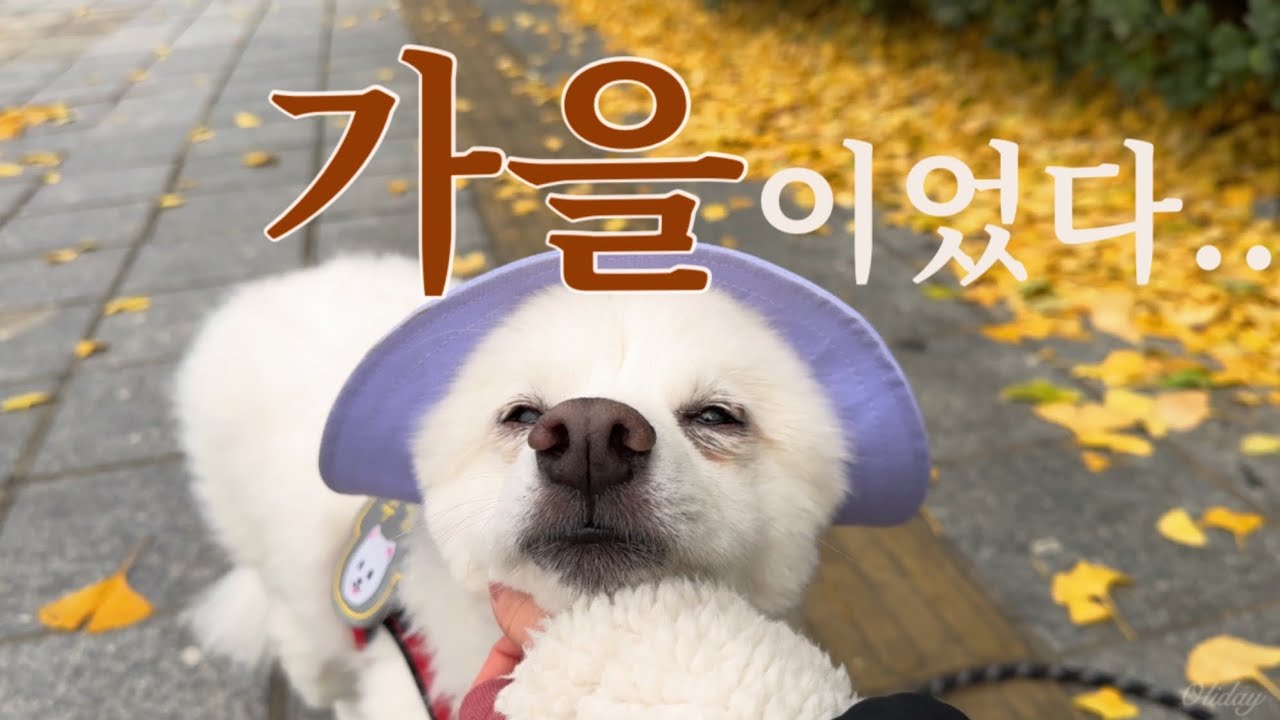 울 뻔 했지만 물의 호흡으로