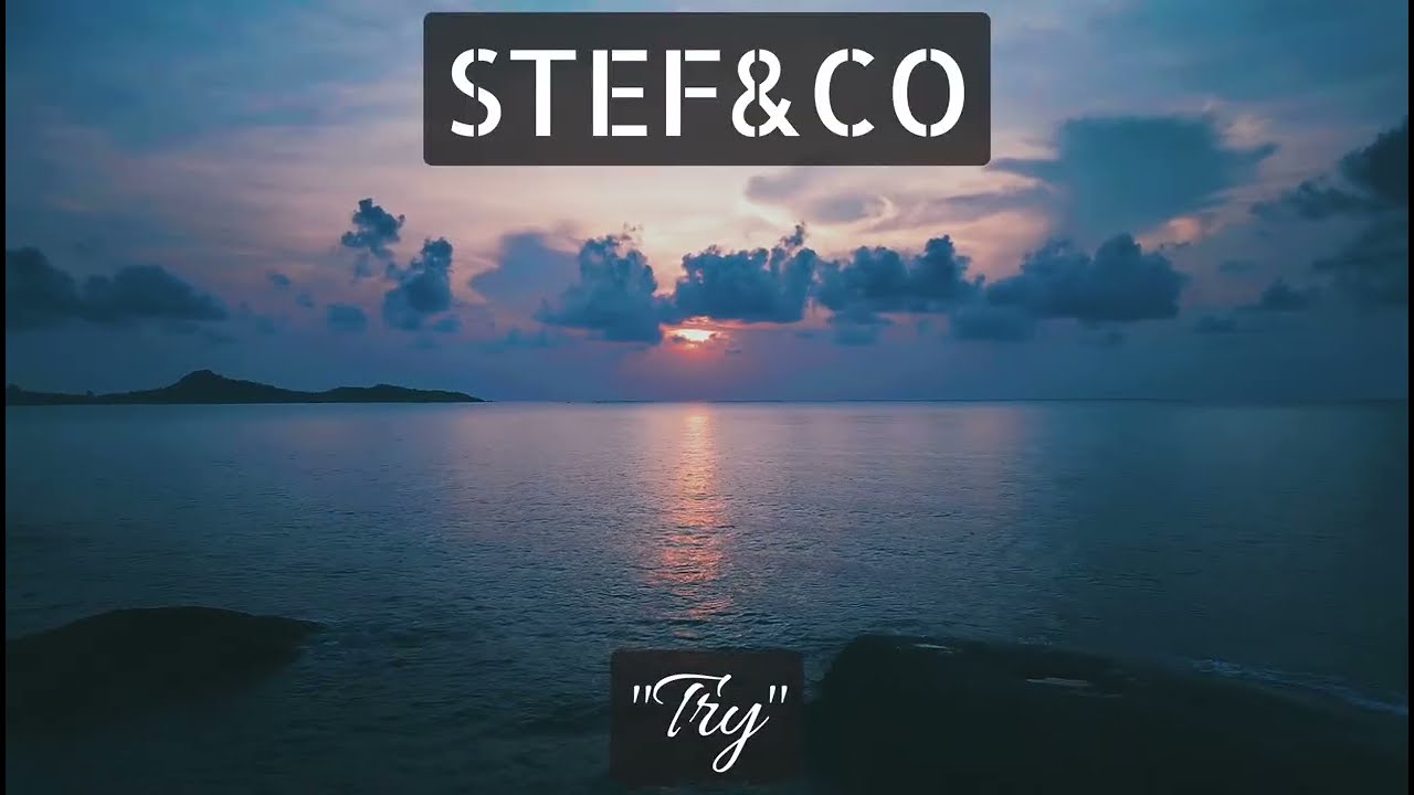 STEF&CO 