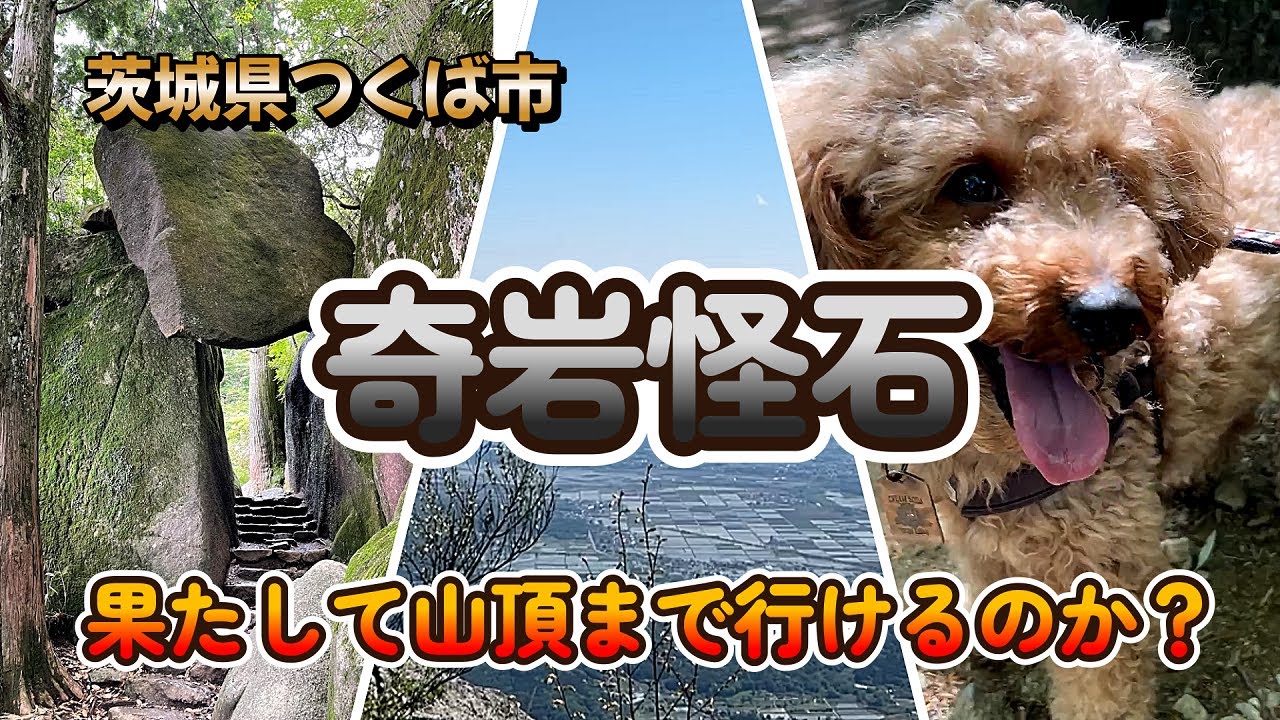 日本百名山　筑波山登山プードルが行く！【白雲橋コース】頂上までの激闘編