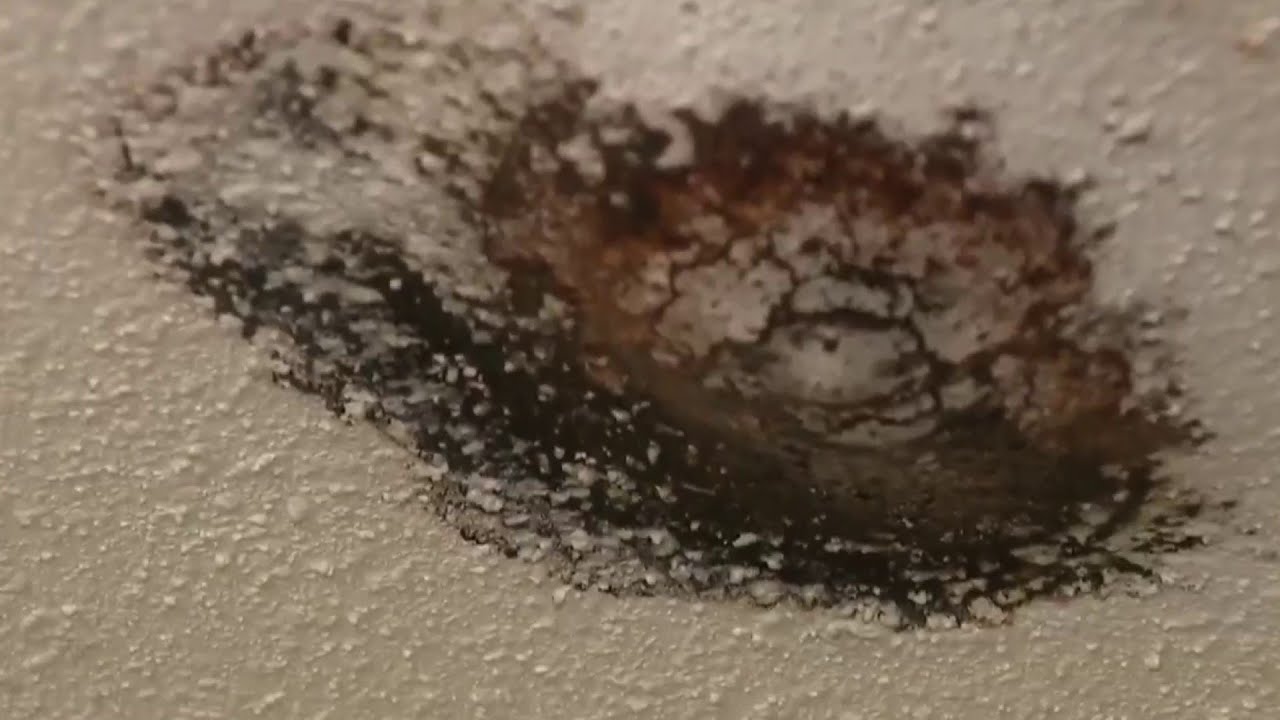 Woman says mold in apartment was making her sick, southwest Houston complex promises to fix issu...