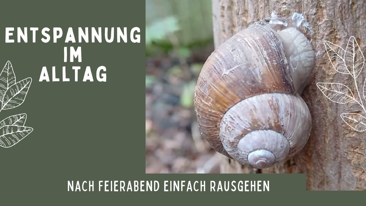 So kannst Du Dich Zuhause mit Natur verbinden und entspannen !!