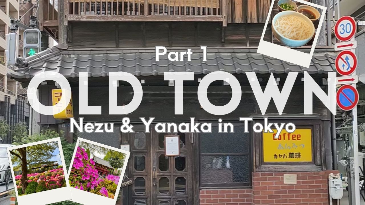 Tokyo Hidden Gems｜Nezu Shrine, Antique Market & Local Food Pt.1 | JAPAN TRAVEL VLOG