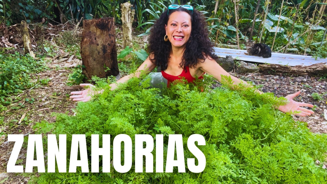 Cómo SEMBRAR ZANAHORIA en casa en MACETA o en el HUERTO 🪴 🥕 🏡