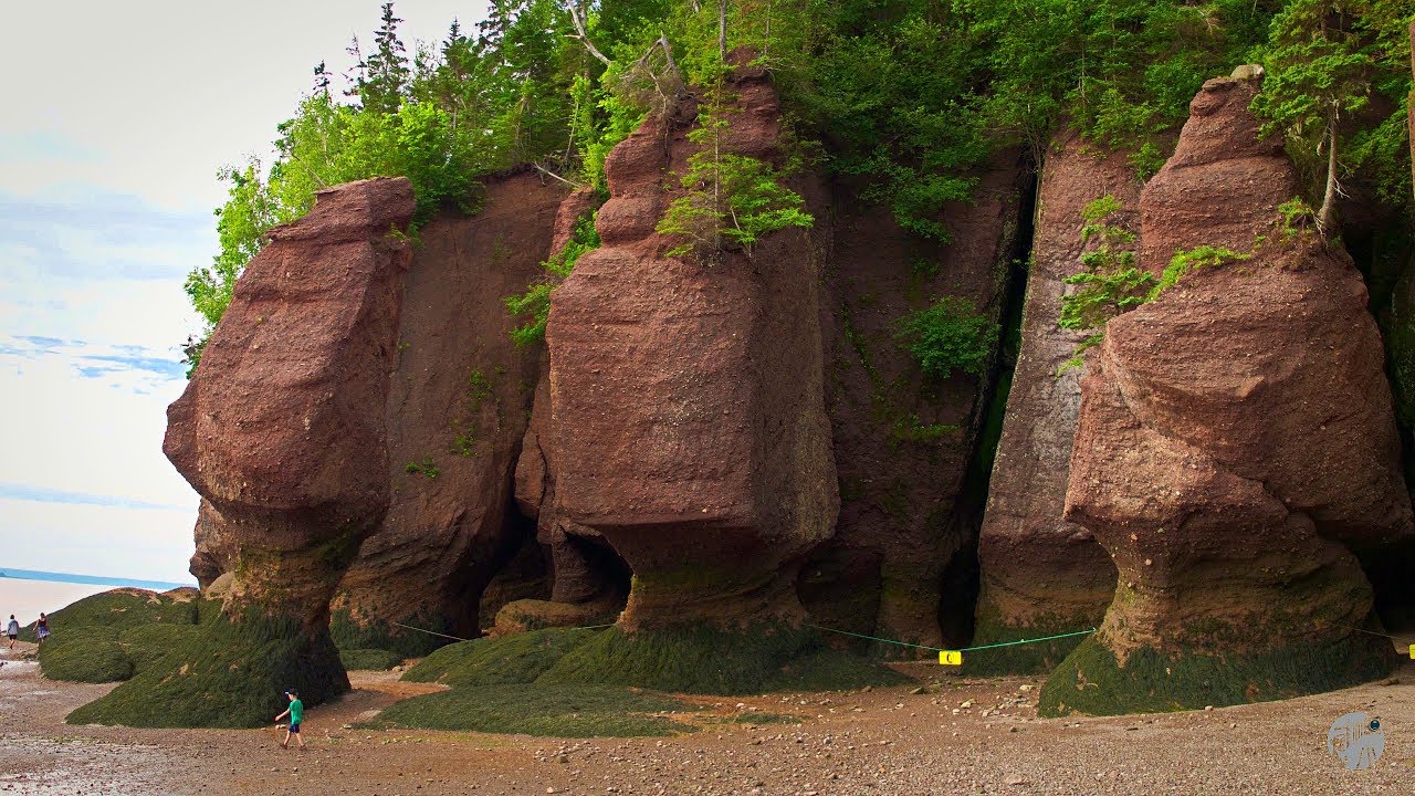 Hopewell Rocks - Fundy National Park - Canada