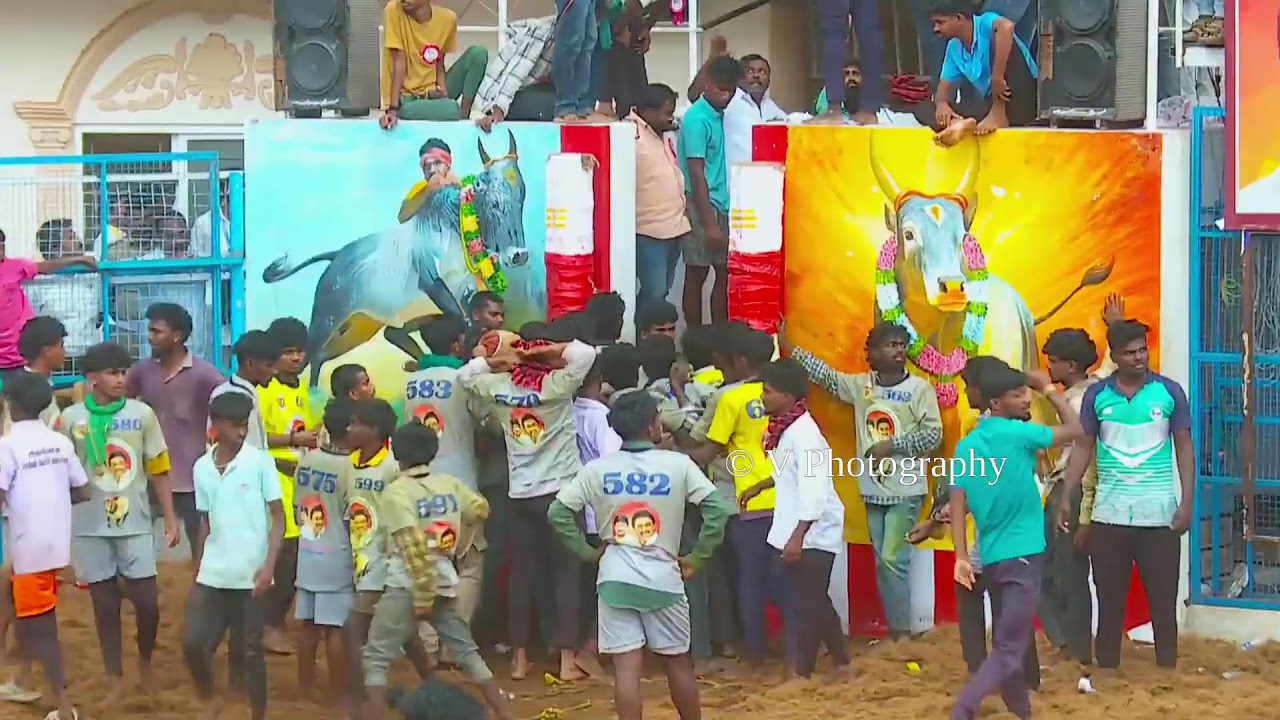 ⭕Live || கீழக்கரை ஜல்லிக்கட்டு || திருப்பரங்குன்றம் சட்டமன்ற தொகுதி || Keelakarai Jallikattu