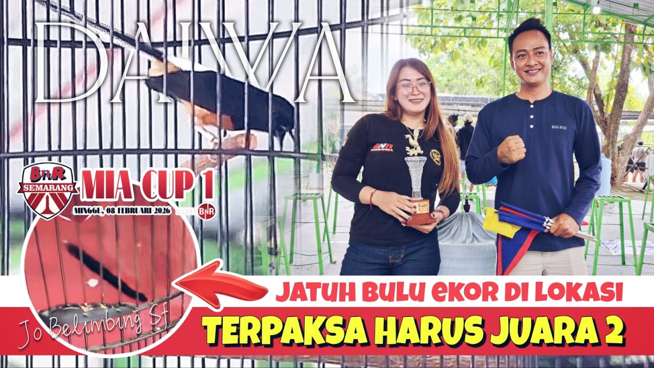 JATUH BULU EKOR DI LOKASI !! TERPAKSA MURAI MUDA DAIWA JUARA 2 MIA CUP 1 FEAT BNR SEMARANG