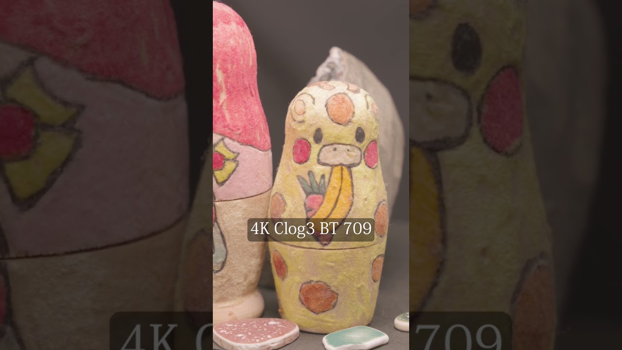 Canon R5 Clog3 BT.709 color grading.