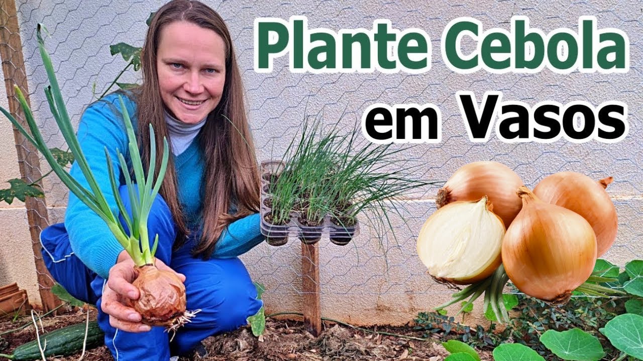 Como Plantar Cebola em Vasos🧅 Diferentes formas de Plantar