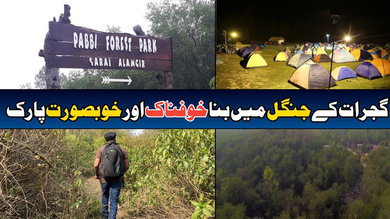 Pabbi Forest Park Kharian District Gujarat | Complete Visit | Travel vlog #traveling #adventure