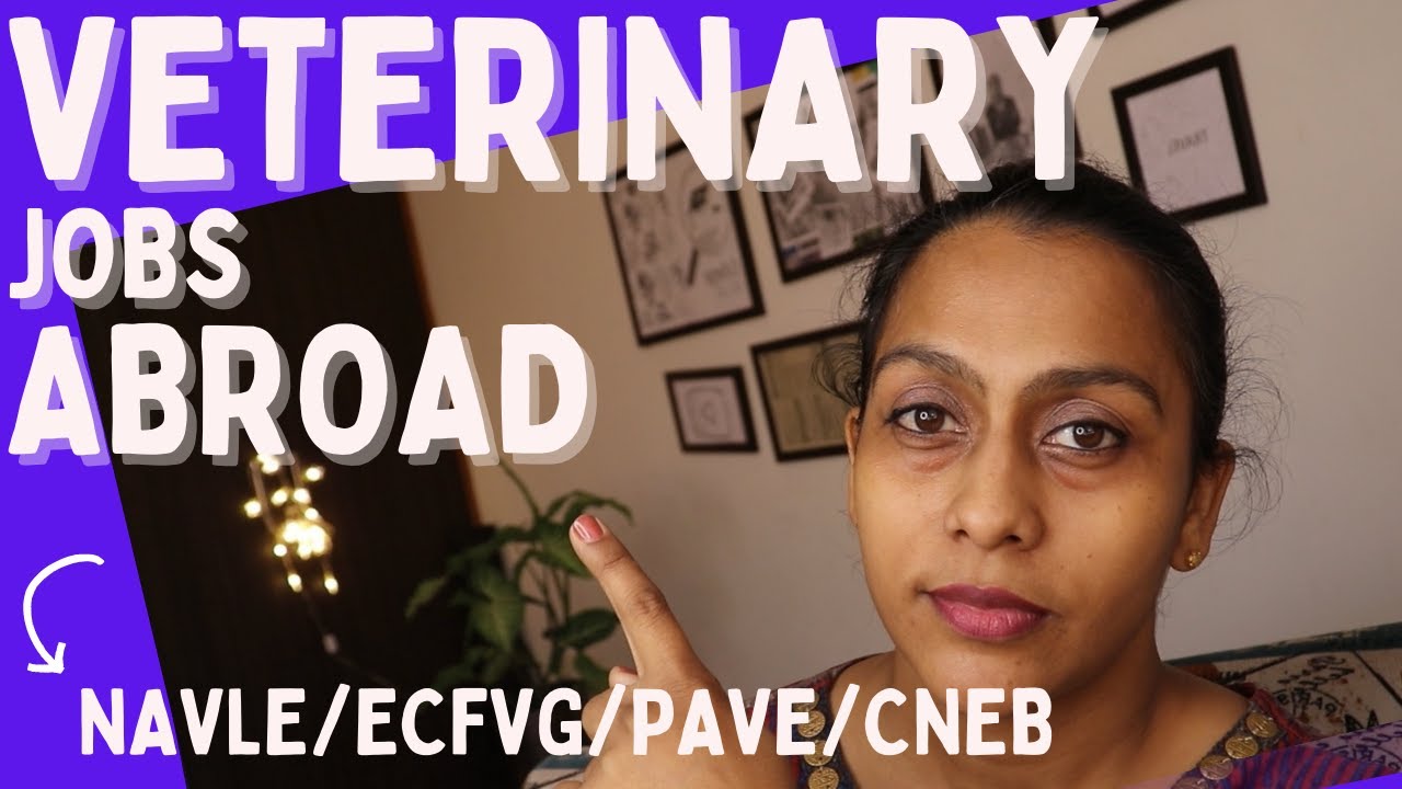 how to work abroad after veterinary // licensure exams, fee, documents full detail //COLLEGE MELA