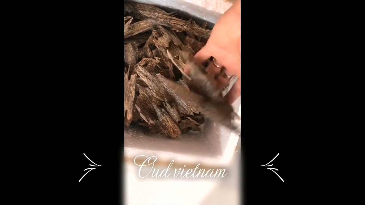 OUD AL SULTAN TRADING & FARM