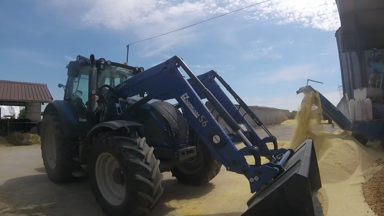 Pastone di Granella 2017 | Valtra N114 Unlimited | Mulino Man 550cv | JCB | Az. Agr. Scalvini