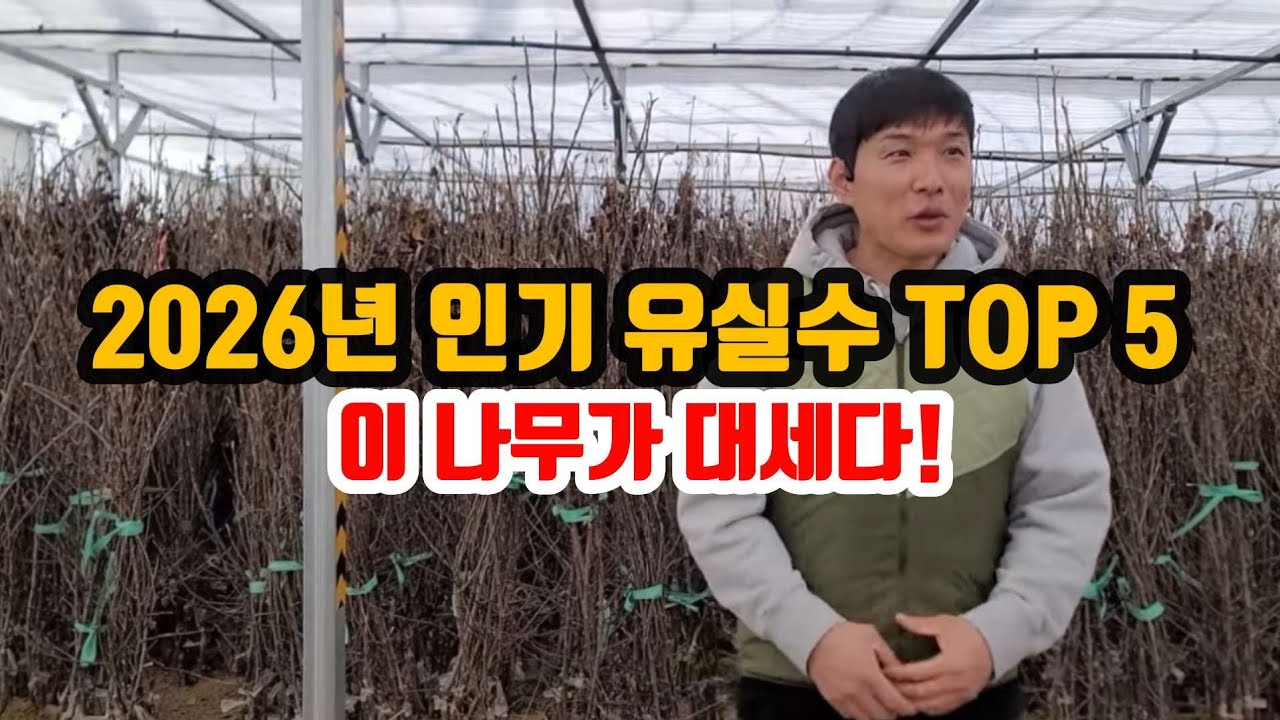 후회 없는 유실수 선택?  많이 찾는 데는 이유가 있습니다! #옥천묘목축제 #옥천묘목시장 #묘목시장 #사과묘목 #복숭아묘목 