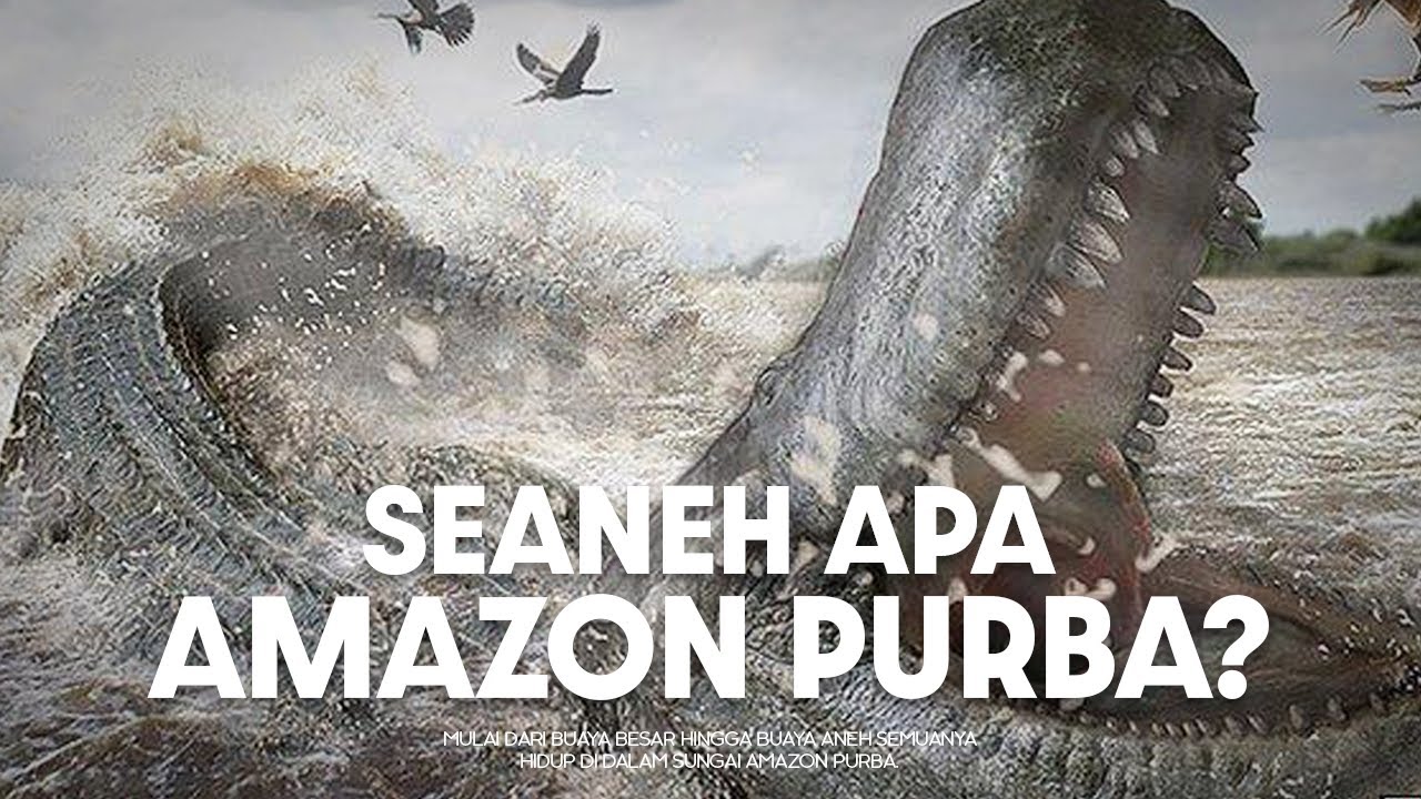 Bagaimana Sungai Amazon Menyimpan Banyak Misteri? | #BelajarDuniaPurba