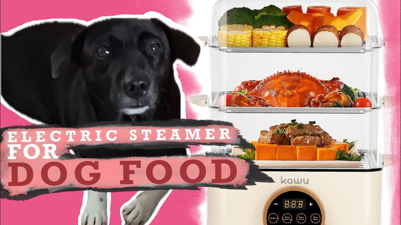 #doglife UNBOXING ELECTRIC STEAMER FOR RORO MEALS 🐶 #dogstory #balidog #pets #animallife #doglove