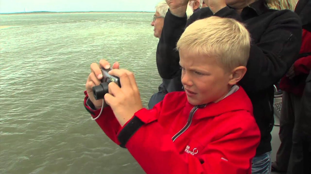 Robbentochten met de ms Zeehond
