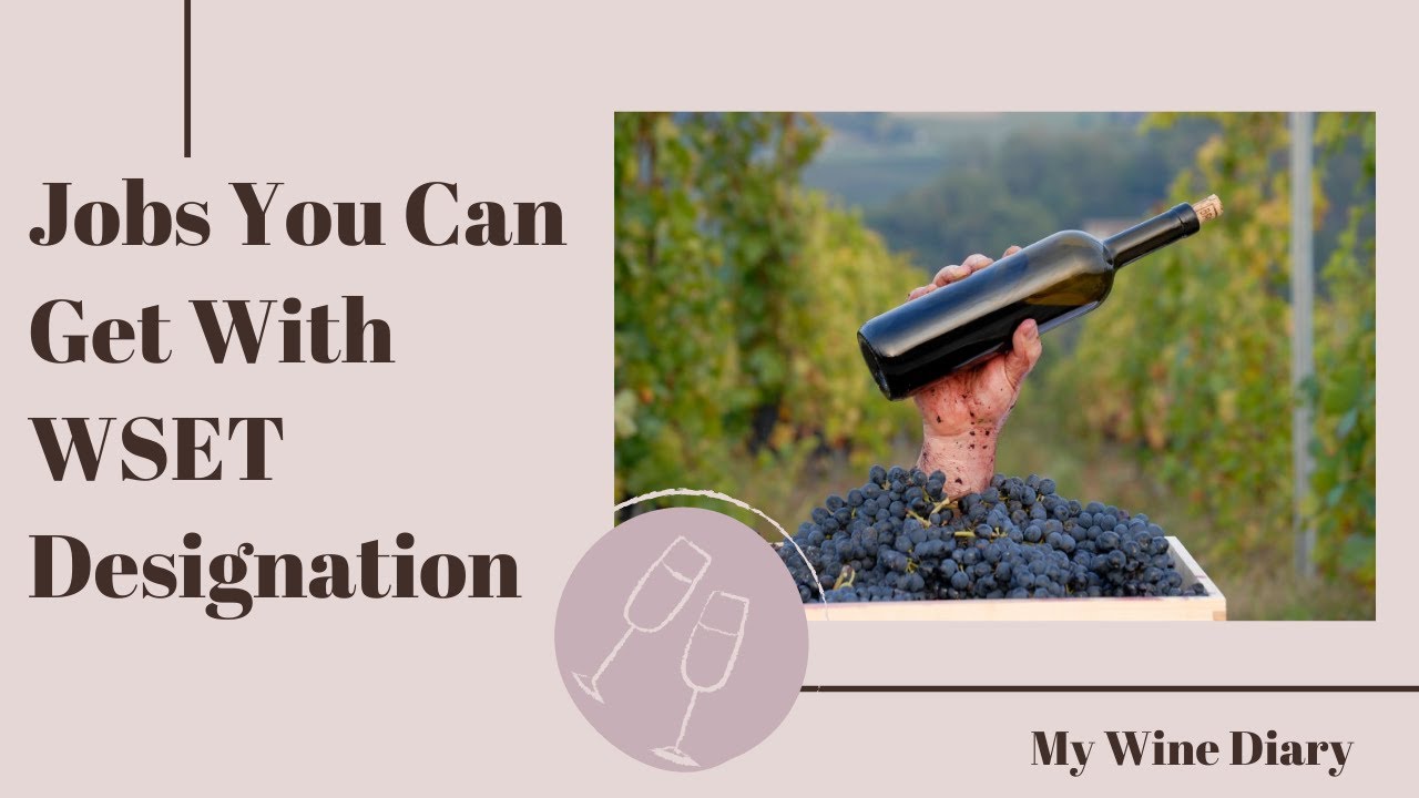 Top Jobs You Can Get with a WSET Certification: Career Paths in Wine & Spirits!