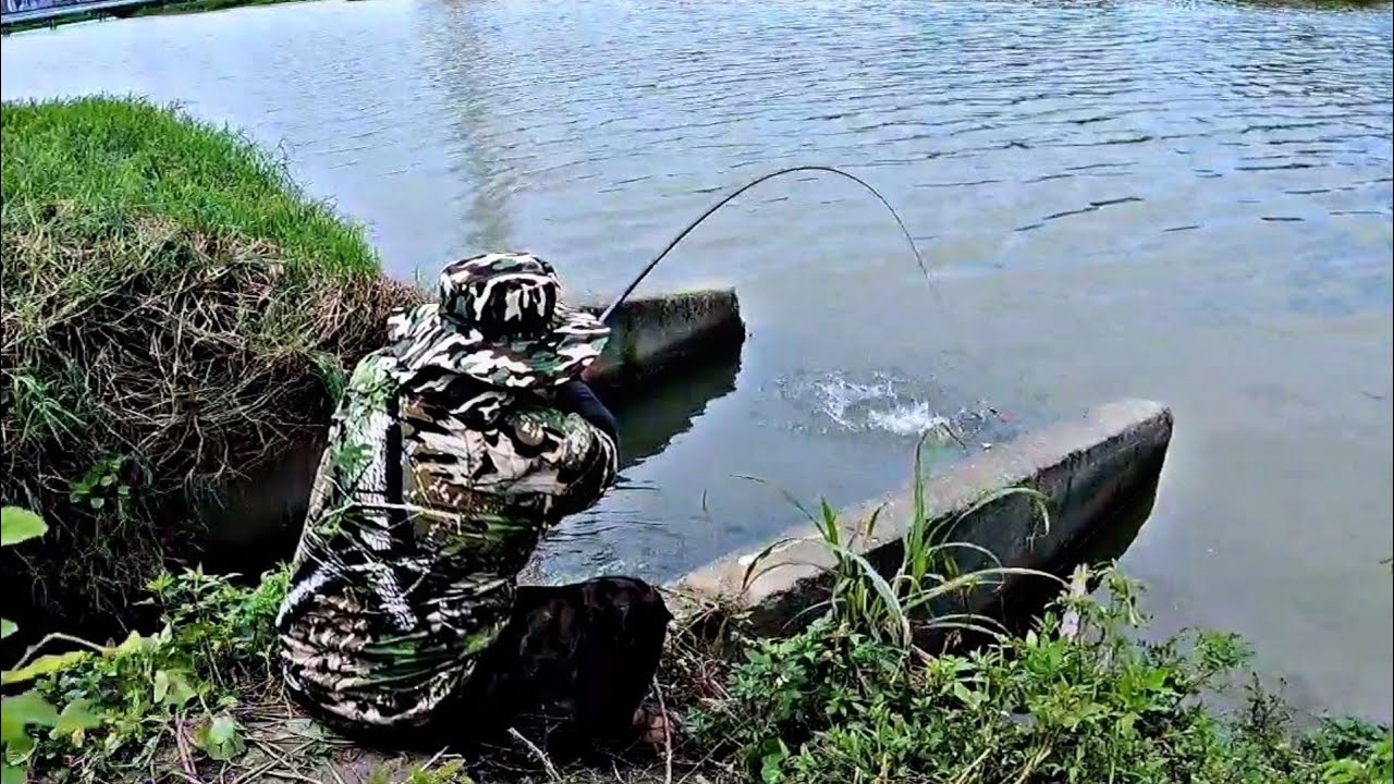 EP66 - NAPUTOL ANG AKING LUBID SA LAKAS NG ISDA!!! | Fishing Giant Tilapia