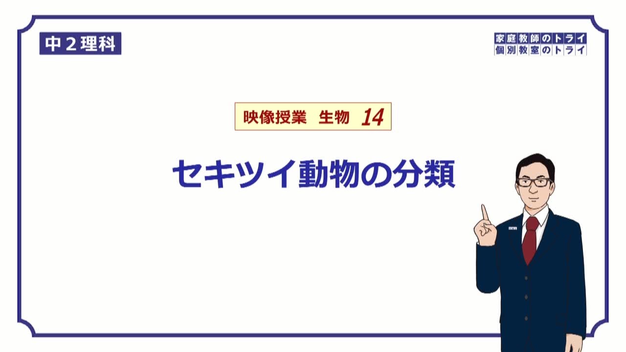 【中２　理科　生物】　セキツイ動物の分類　（２３分）