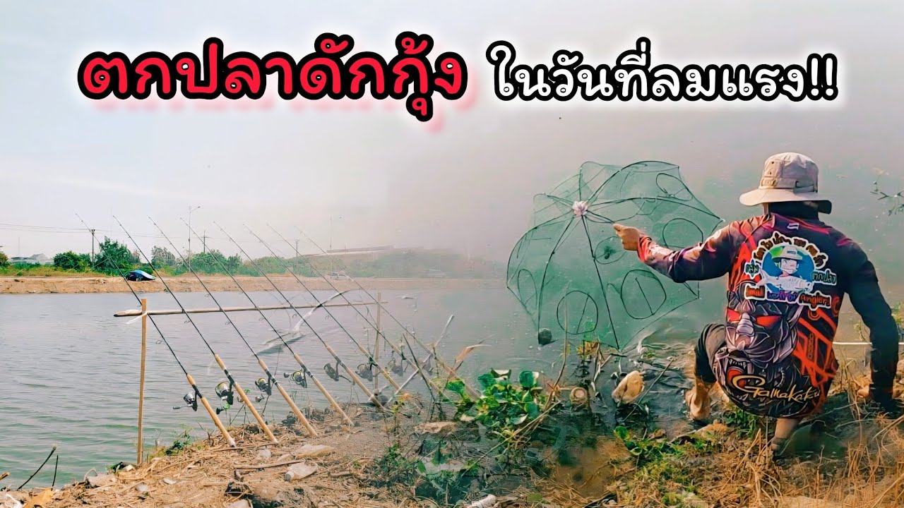 ตกปลาคลองส่งน้ำสุววรณภูมิหมายนี้หมานทั้งปลาหมานทั้งกุ้ง.#EP171