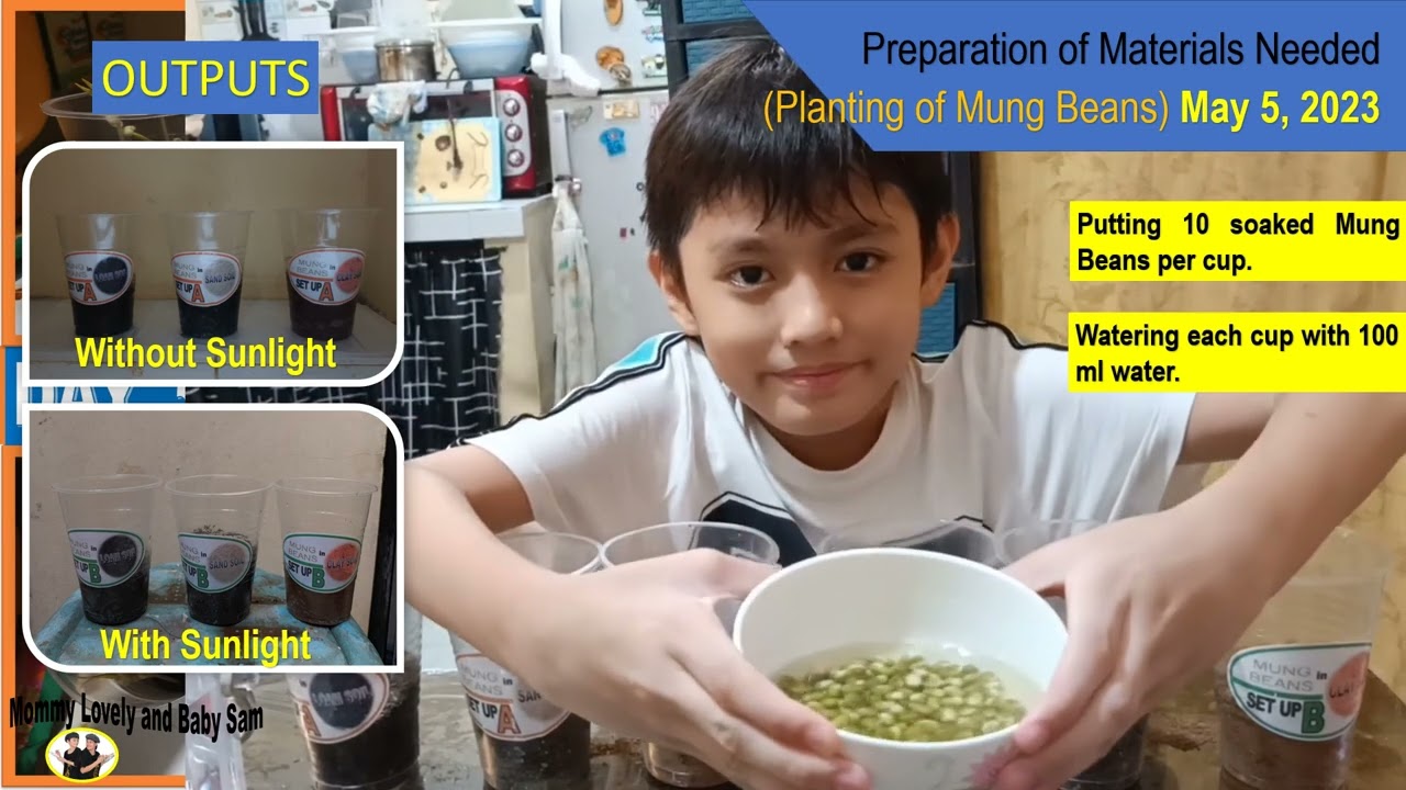PTASK SCIENCE 4 QUARTER 4 1B Variables Affecting Plants' Growth