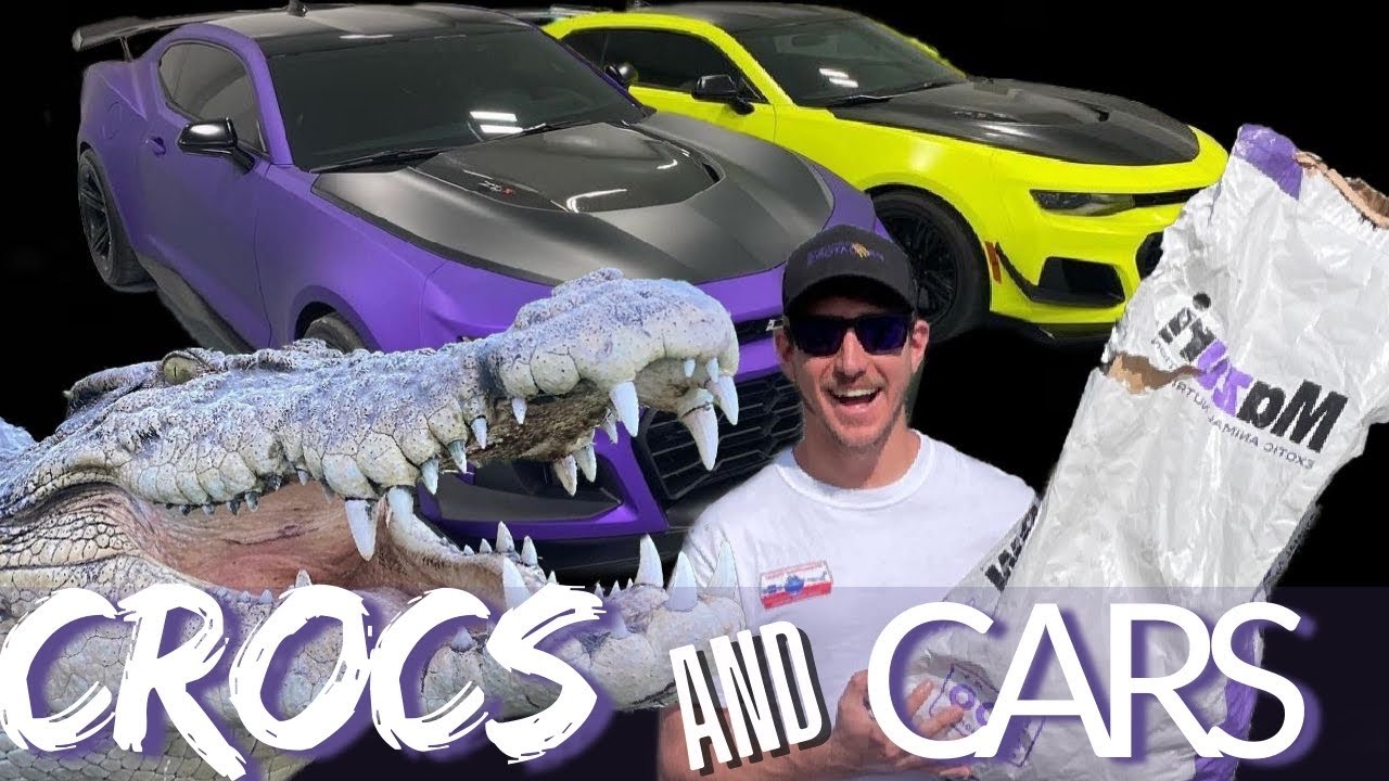 Baby Nile Crocodiles and INSANE Car Collection! | Primitive Predators