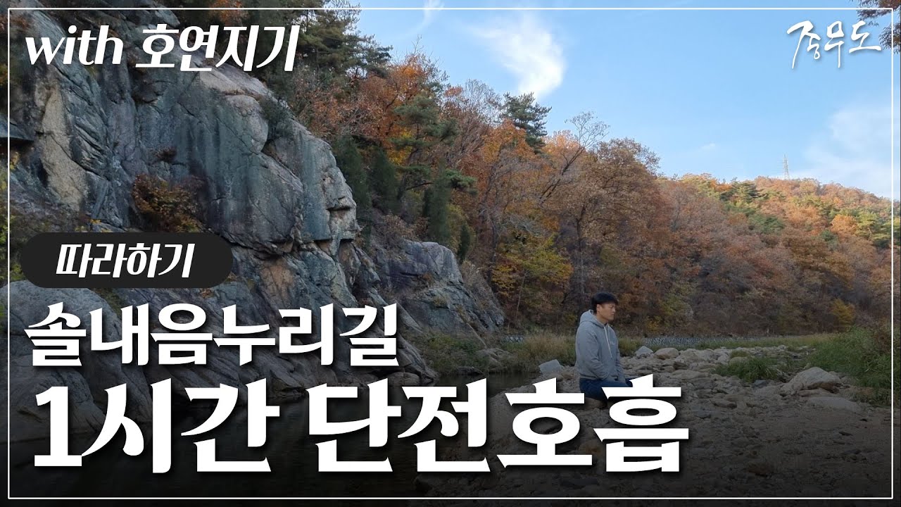 [1시간 단전호흡] 솔내음 누리길 호연지기