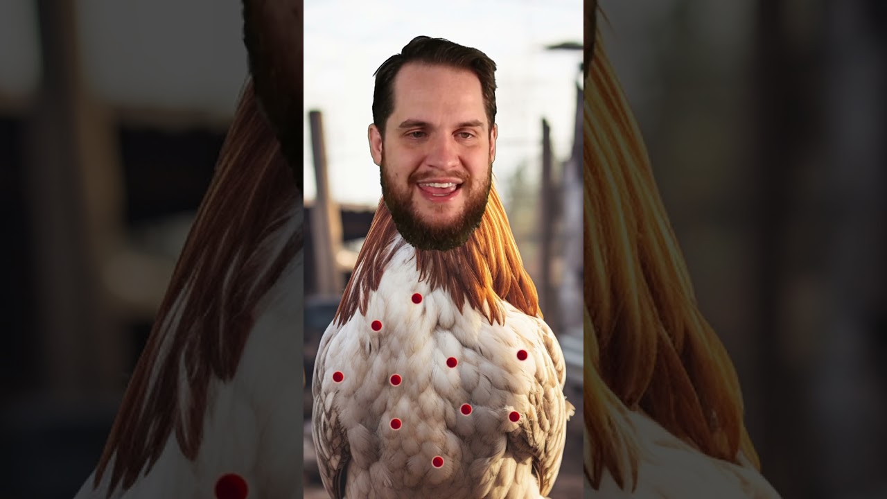 Ветряная оспа 🐔