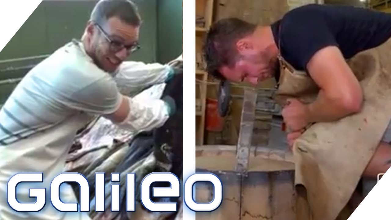 Knochenjob-Challenge: Wer meistert die harten Jobs besser? | Galileo Reporter-Duell | ProSieben