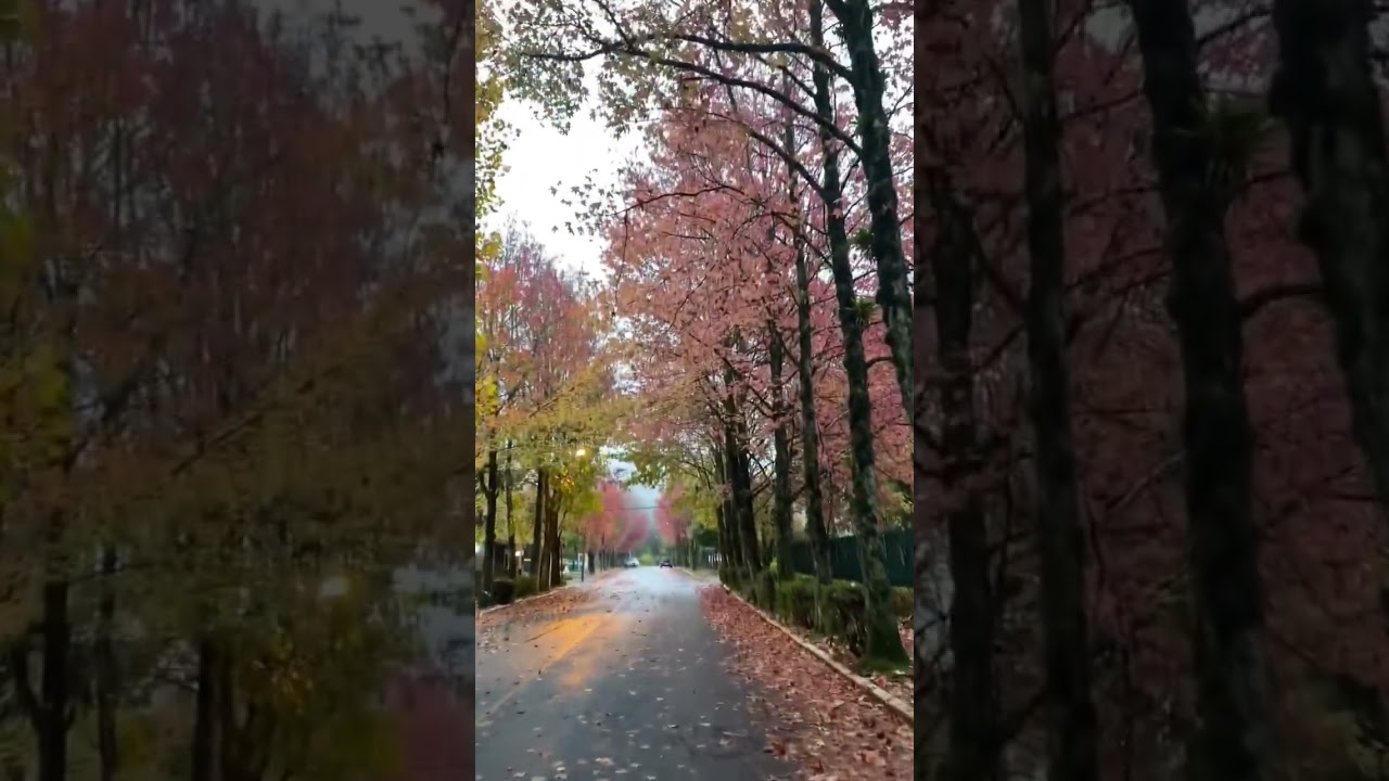 📍Dicas Gramado e Canela - Serra Ga&uacute;cha ⁉️ #gramado #viagem #gramadoserragaucha #serragaucha