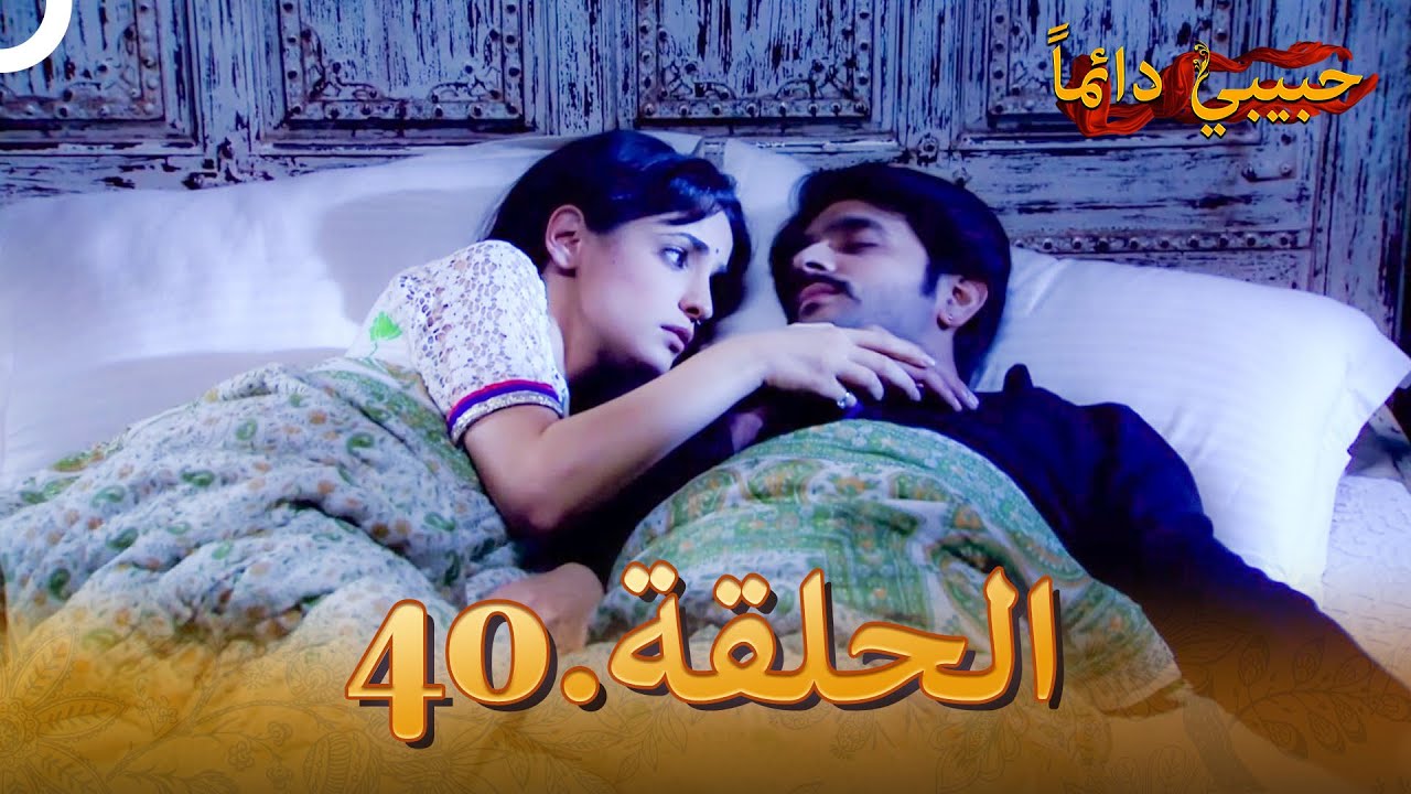 حبيبي دائماً الحلقة 40