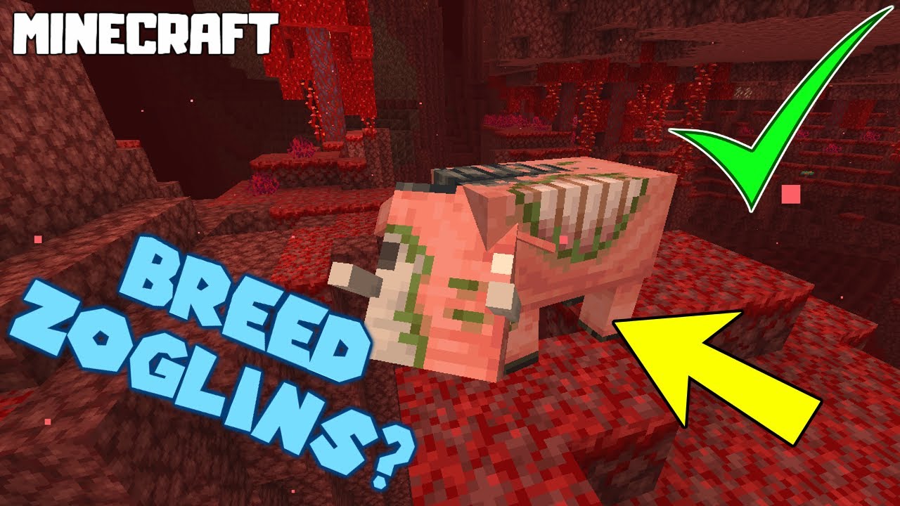 Can You Breed Zoglins? MINECRAFT 1.16.1 - Nether Update