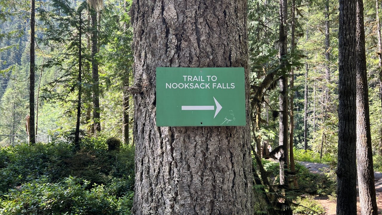 Visiting NookSack Falls in Washington | Waterfall & Huge Trees in the Mt Baker National Forest