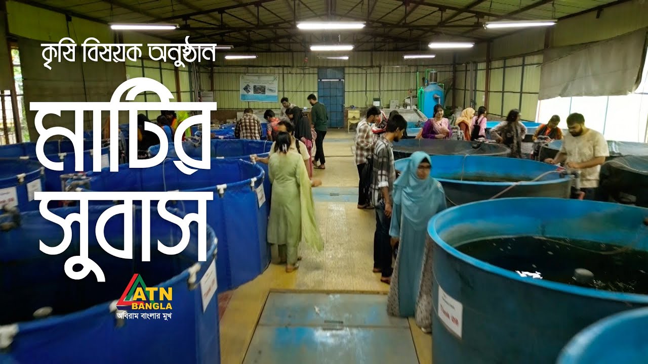 আধুনিক পদ্ধতিতে ঘড়ের ভেতরে মাছ চাষ - RAS | মাটির সুবাস | Matir Subas | ATN Bangla