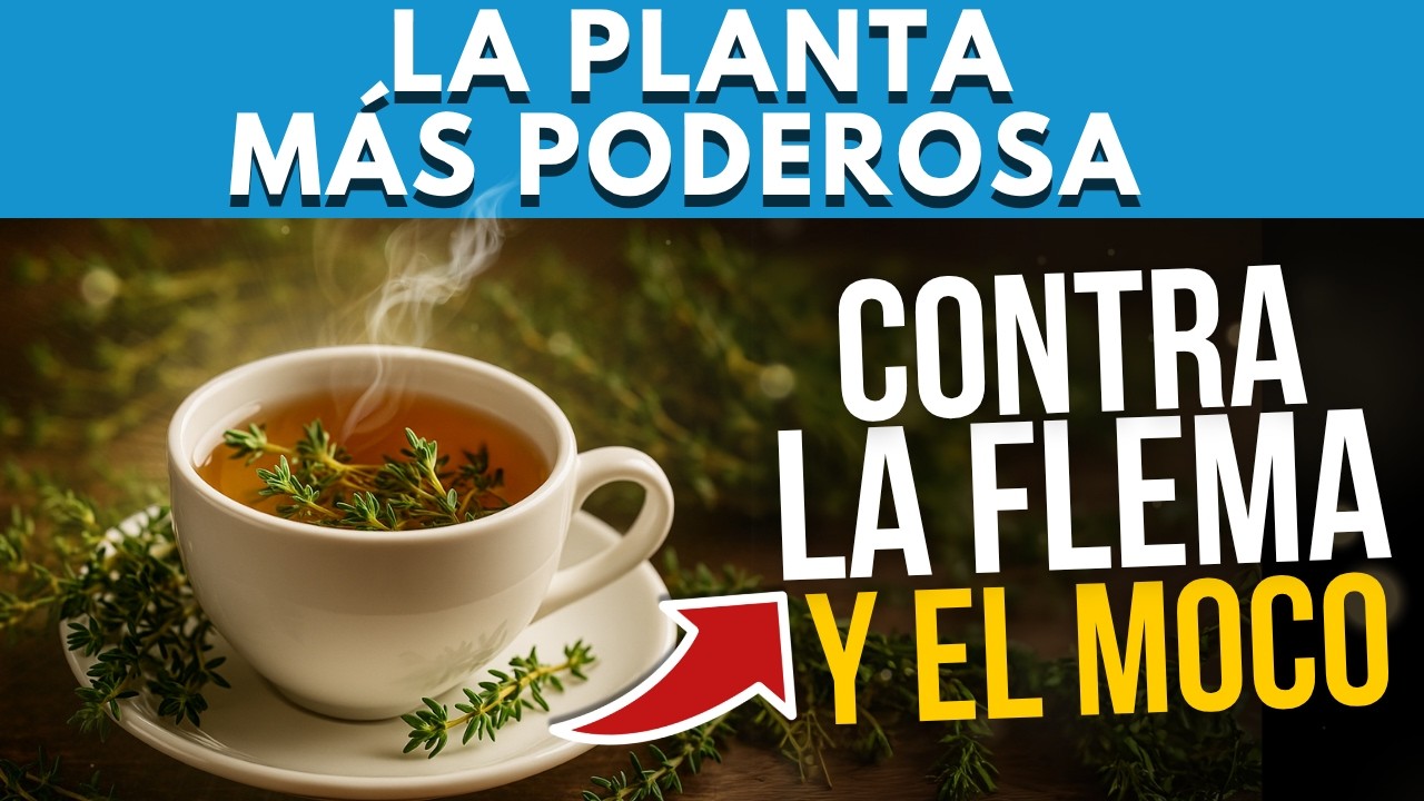 &iexcl;La Planta #1 para ELIMINAR toda la FLEMA de tu GARGANTA en Minutos!