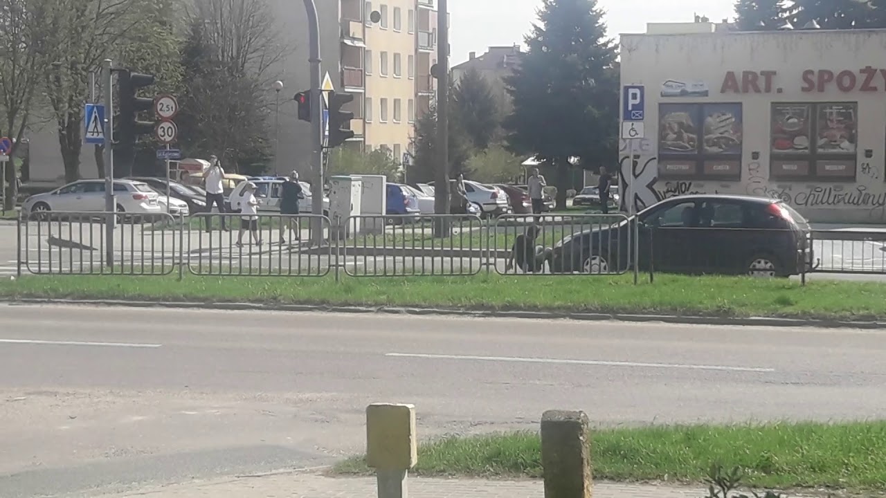 Czub
