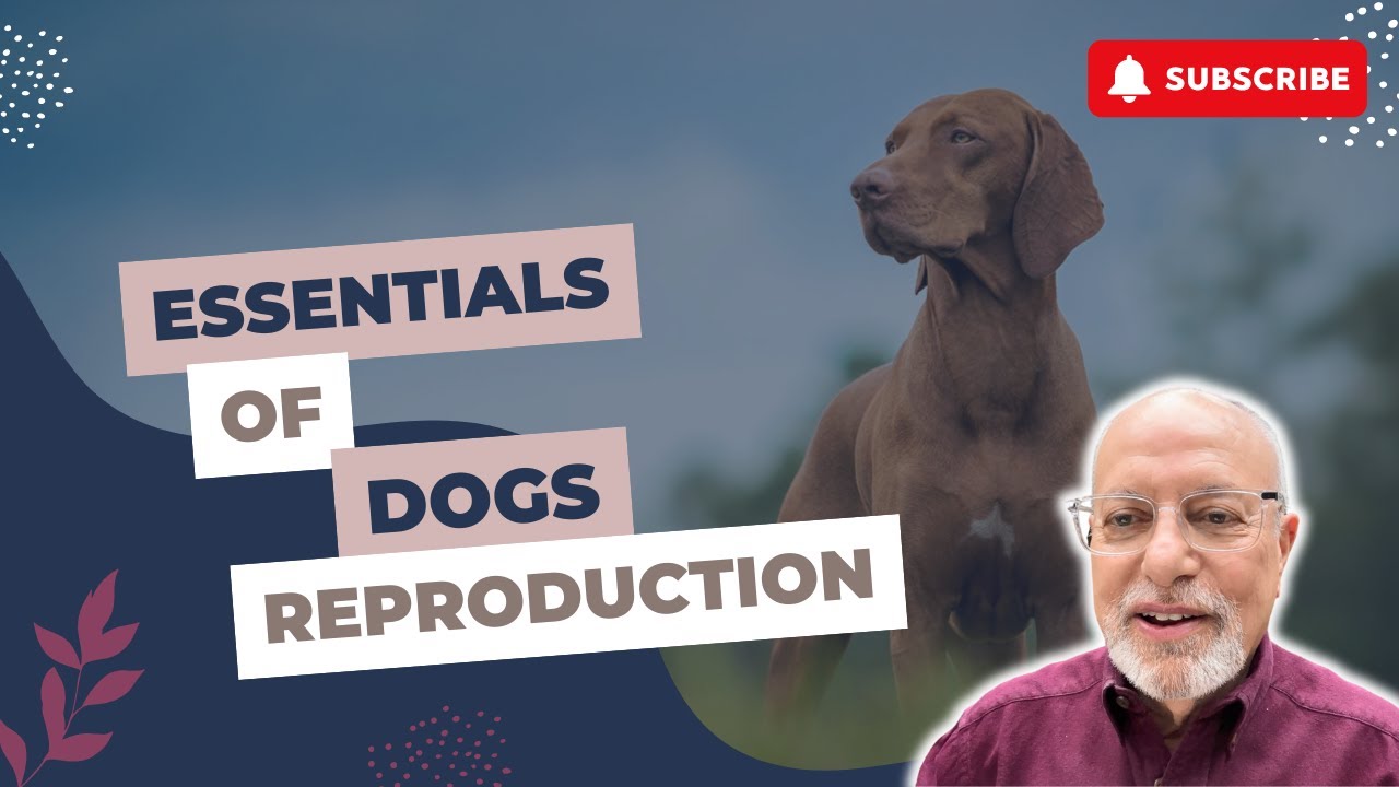 Responsible Breeding: The Essentials of Canine/Dogs Reproduction