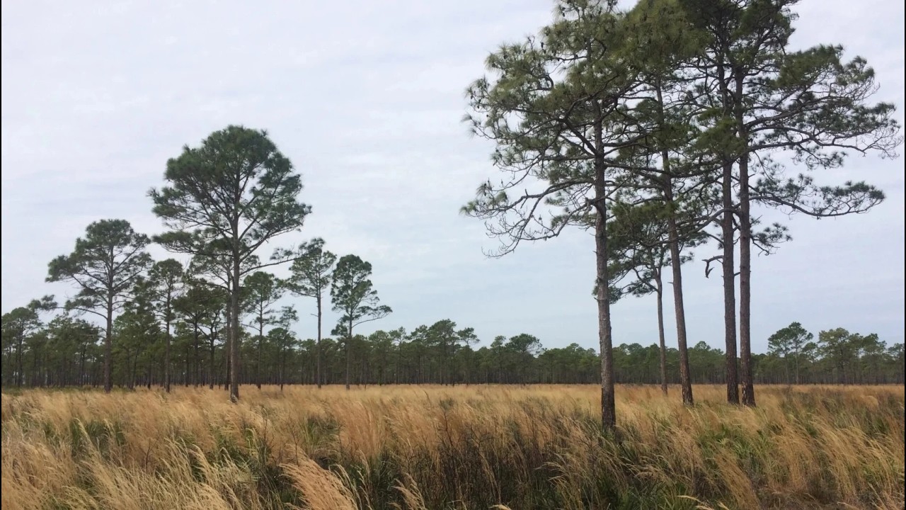 First Coast Connect: 02/16/26