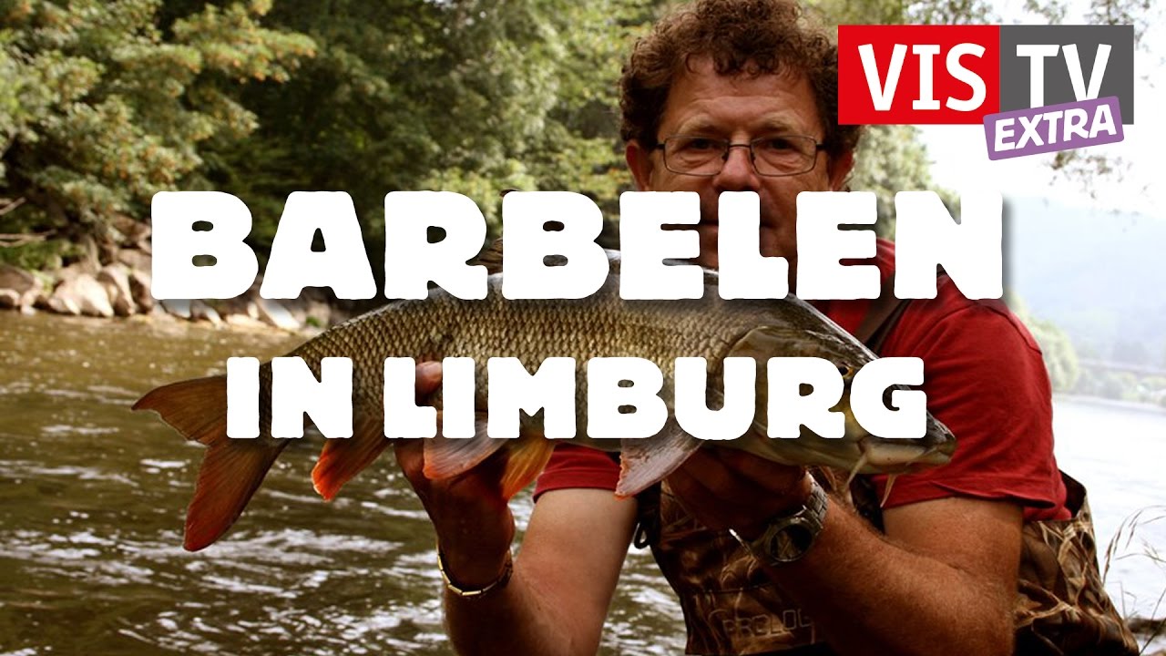 VisTV Extra #04 - Barbelen in Limburg met Frans Vogels